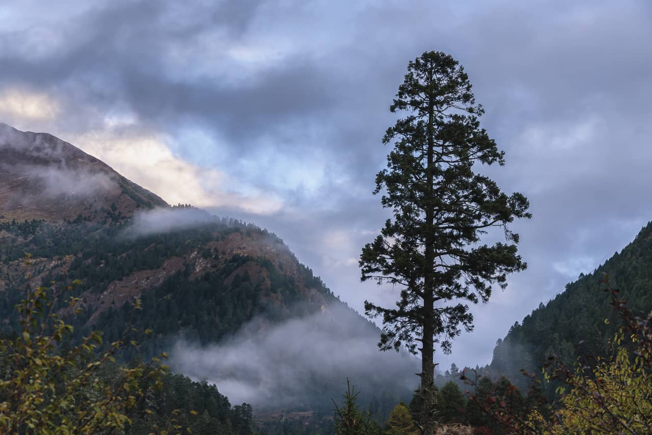 misty morning on bhutan trek