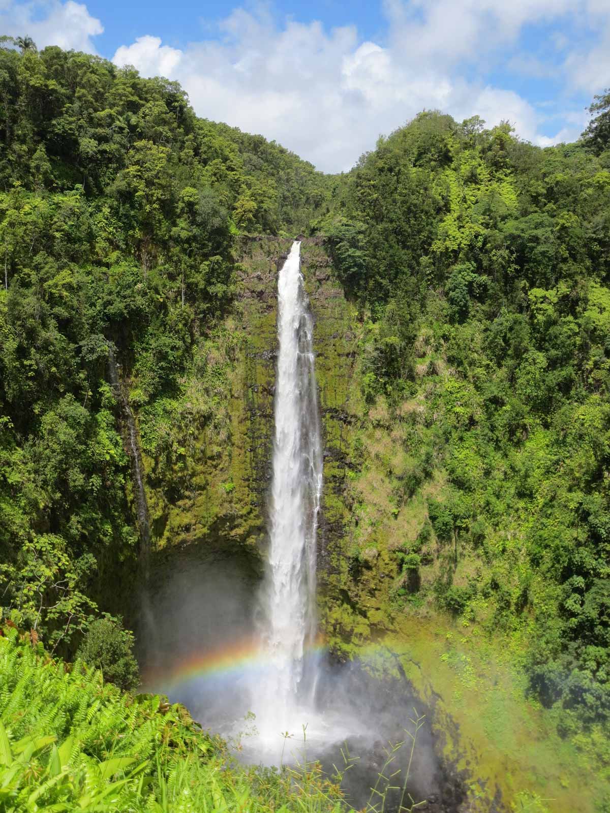Best Things to do on the Big Island of Hawaii Akaka Falls 