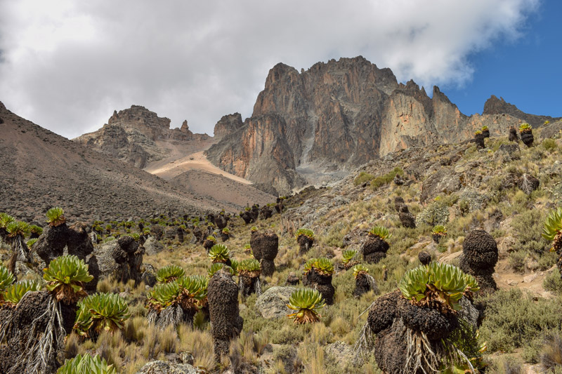 highest mountains in the world Mount Kenya