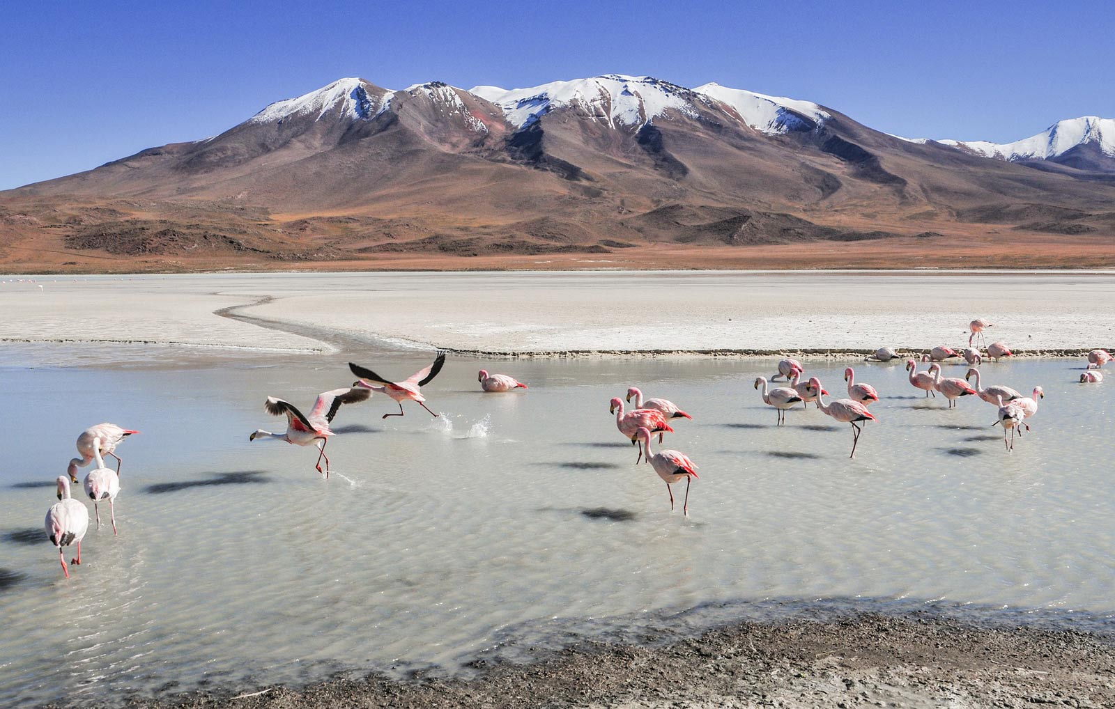 Bolivia Salt Flats are beautiful