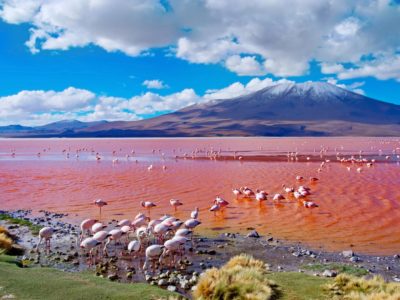 Salar de Uyuni – How to Visit The Bolivia Salt Flats
