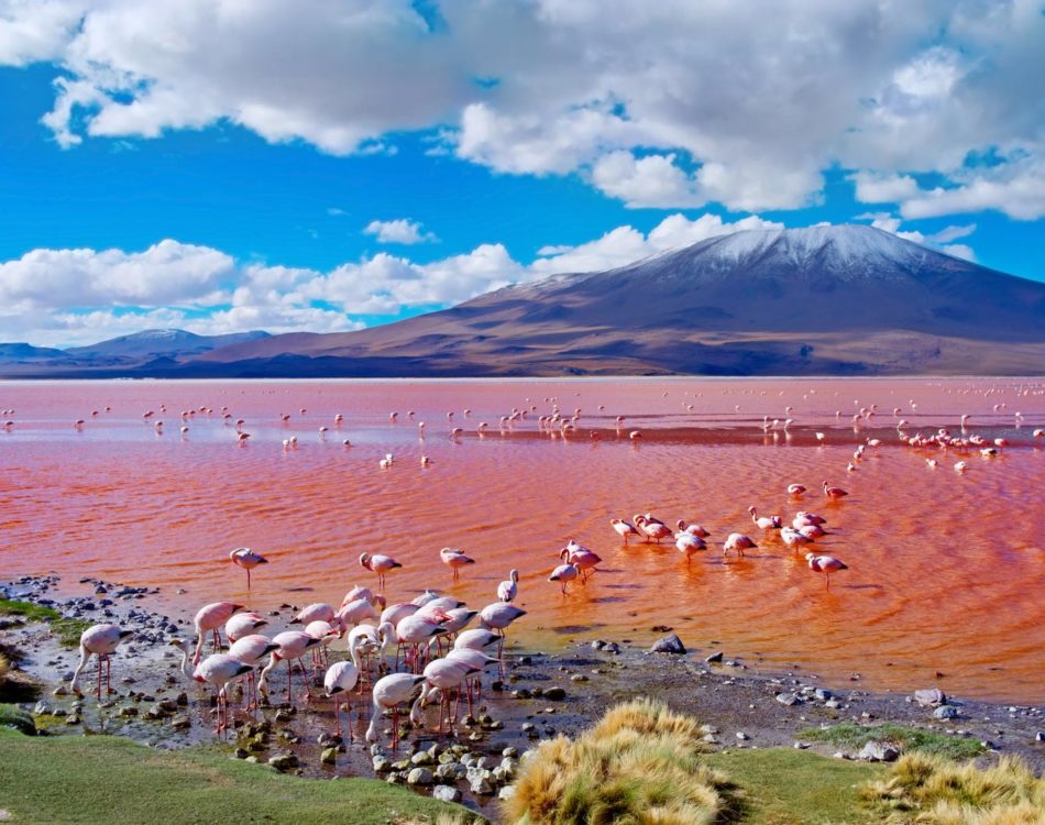 Salar de Uyuni – How to Visit The Bolivia Salt Flats