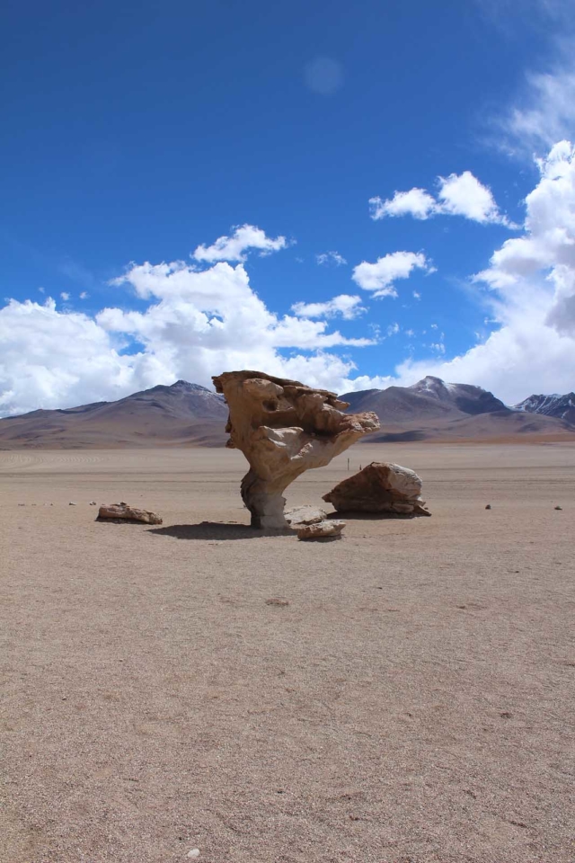 Bolivia Salt Flats Stone tree