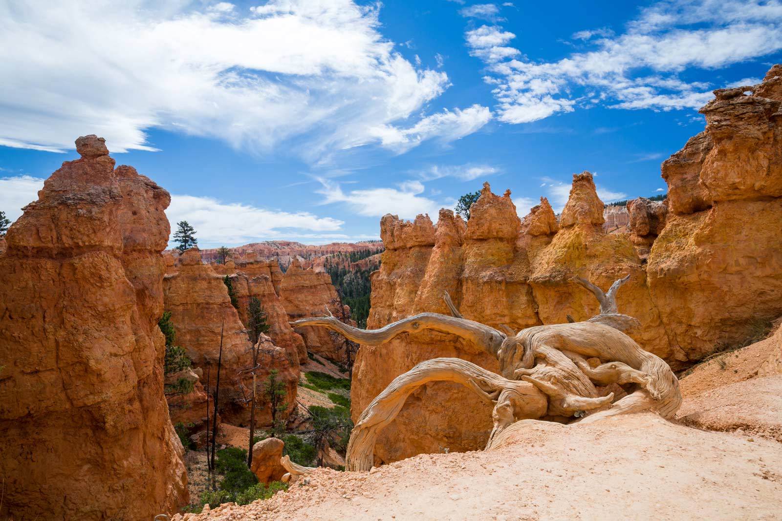 Bryce Canyon Hikes Information