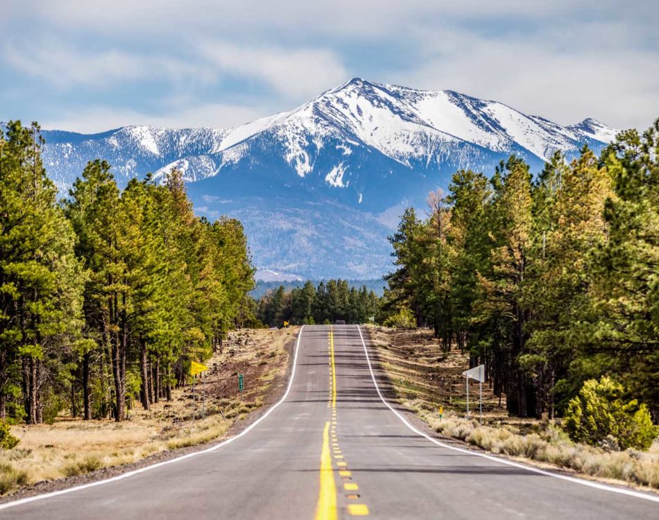 16 Cozy Cabins in Flagstaff, Arizona for Your Next Getaway