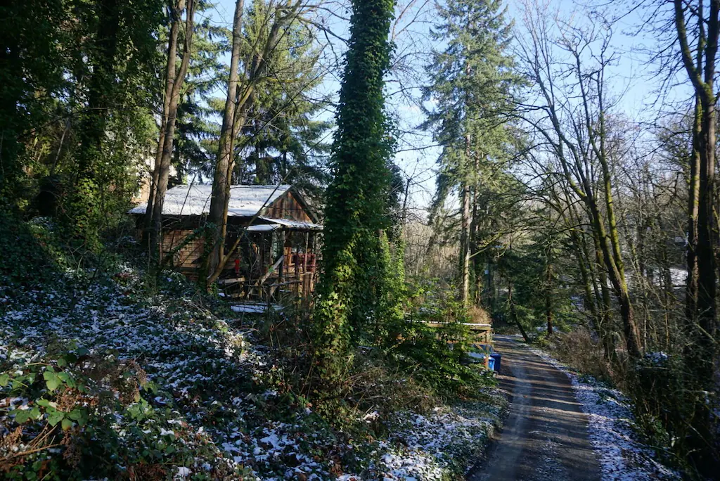 Seattle Tree top Cabin In Washington State
