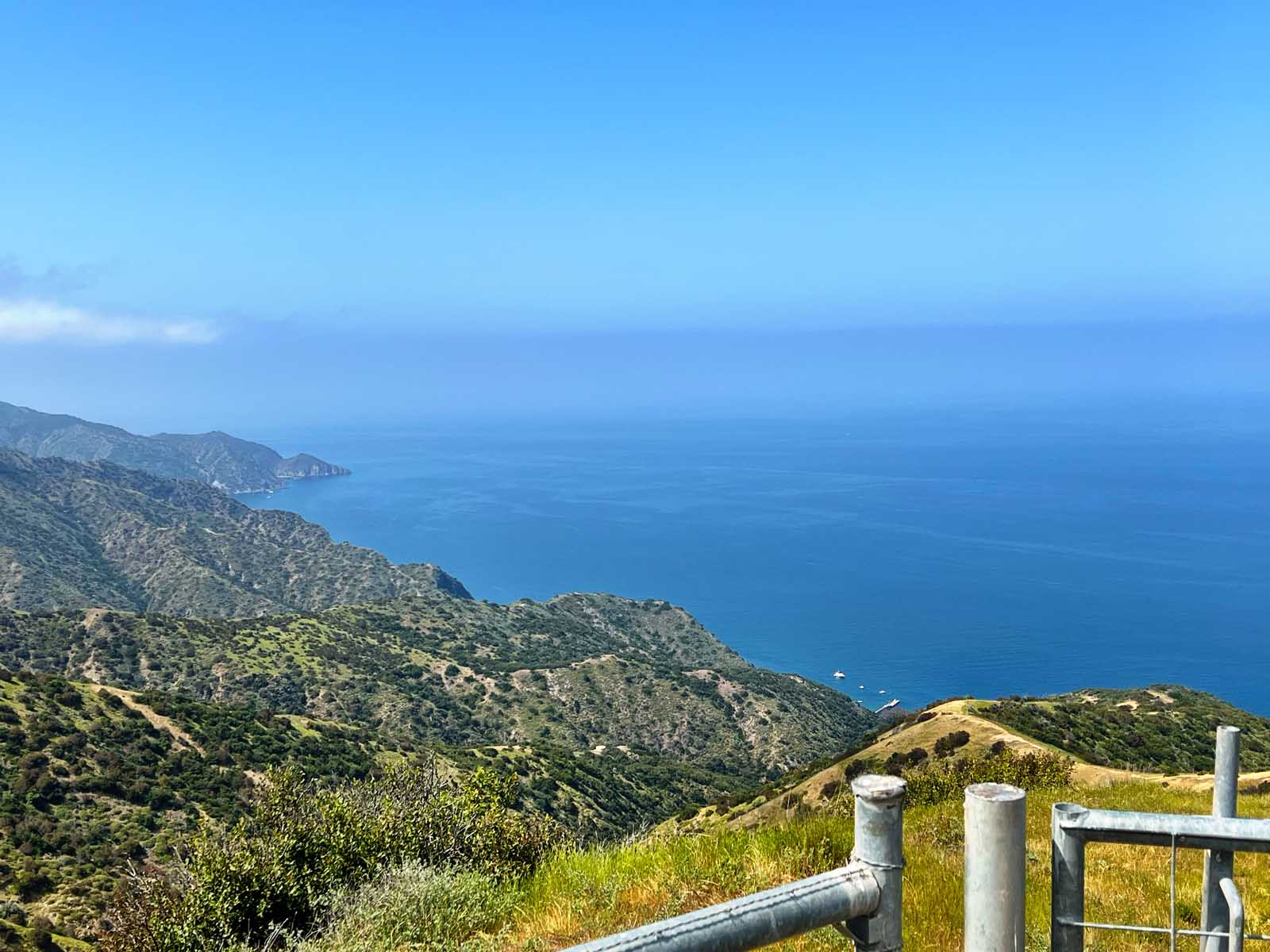 Catalina Island, California – I chickened out; But somehow got rewarded