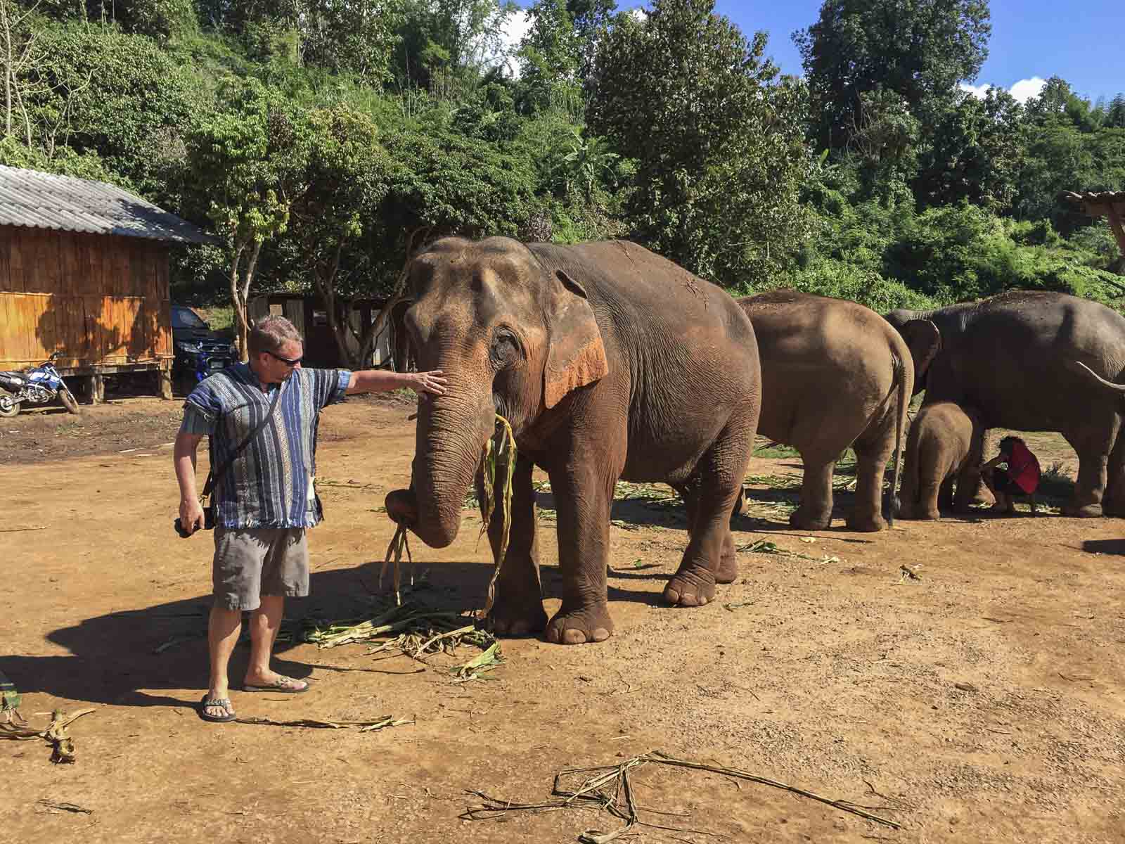 Things to do in Chiang Mai Elephant Sanctuary