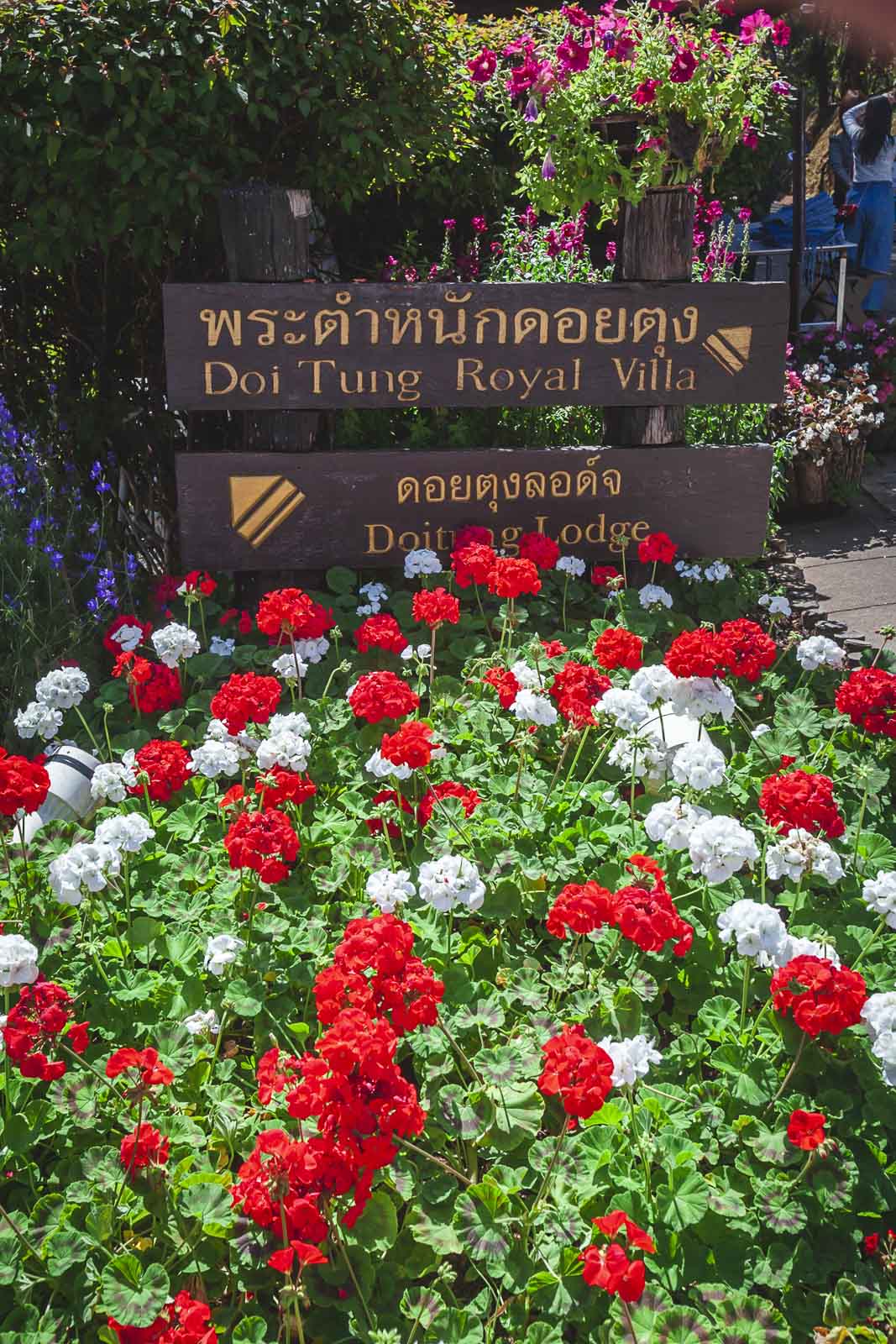 Queen Sirikit Botanic Gardens Chiang Mai