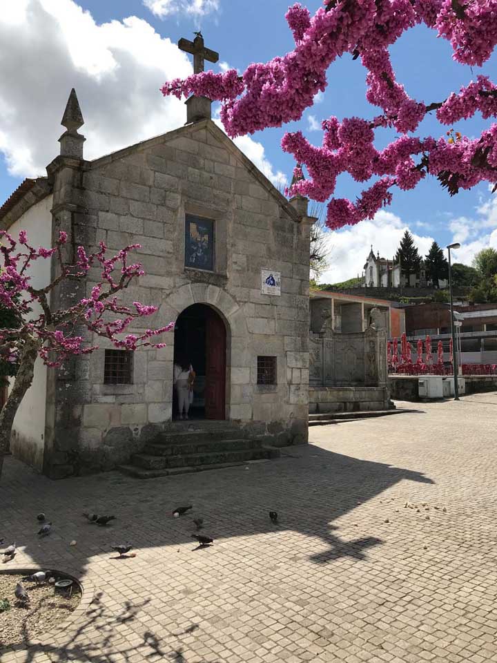 Guide to the Douro Valley from Porto Portugal's Most Famous Wine