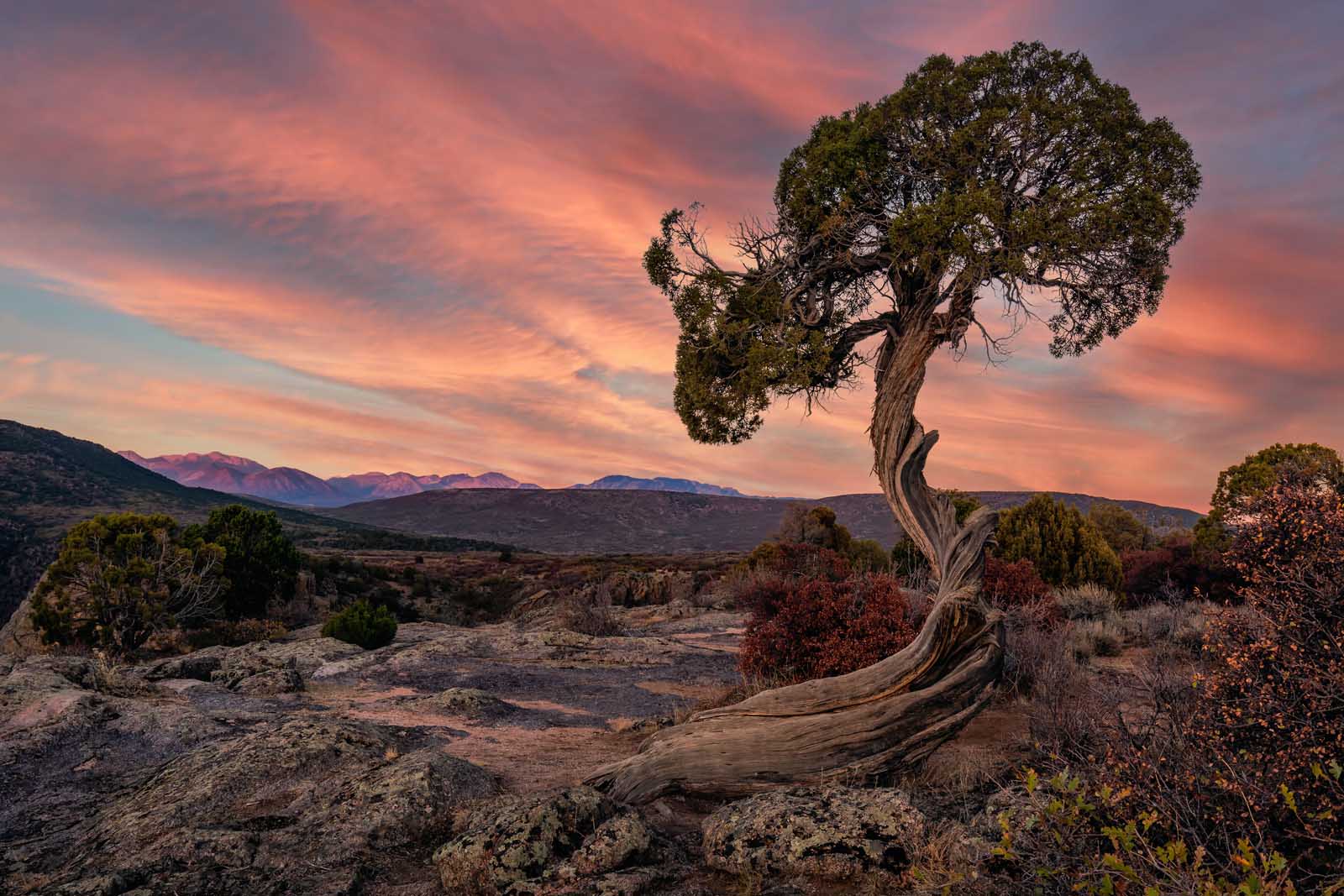 Parques Nacionales de Colorado Puesta de sol en el Parque Nacional Cañón Negro del Gunnison