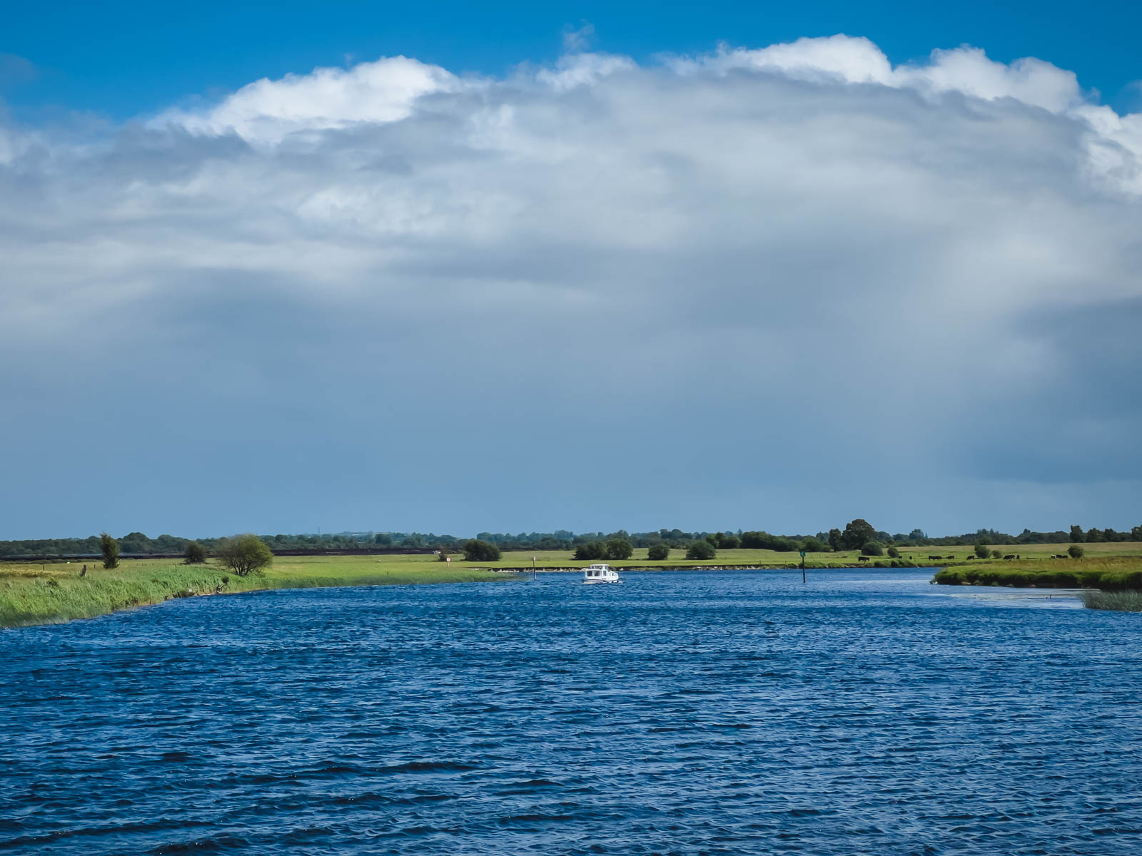 Cruise on the Shannon River Views