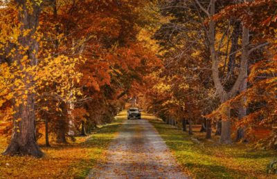 Best Day Trips From Toronto Niagara Falls in Fall