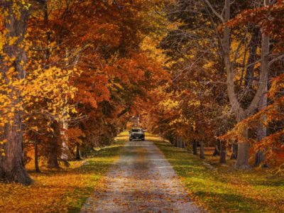 Best Day Trips from Toronto for 2025: Top 24 Escapes