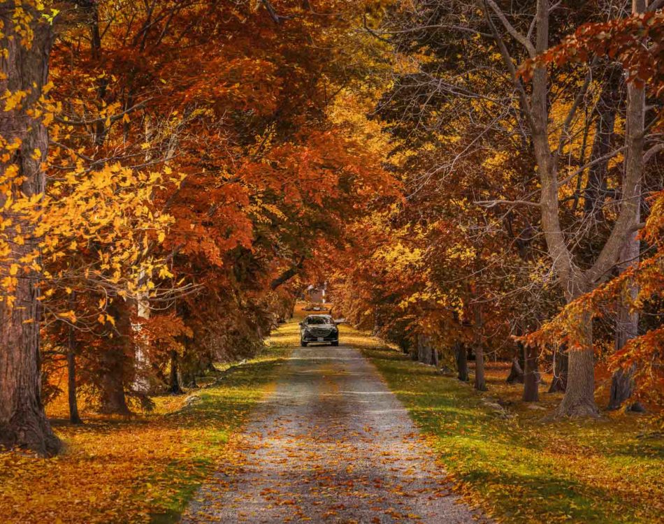 25 Day Trips from Toronto to Escape the City
