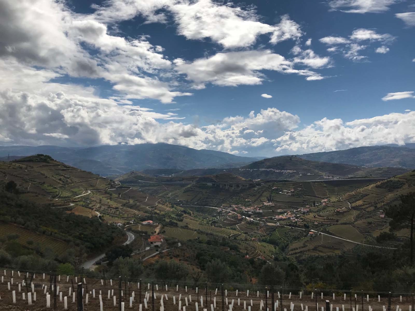 guide to douro valley portugal landscape