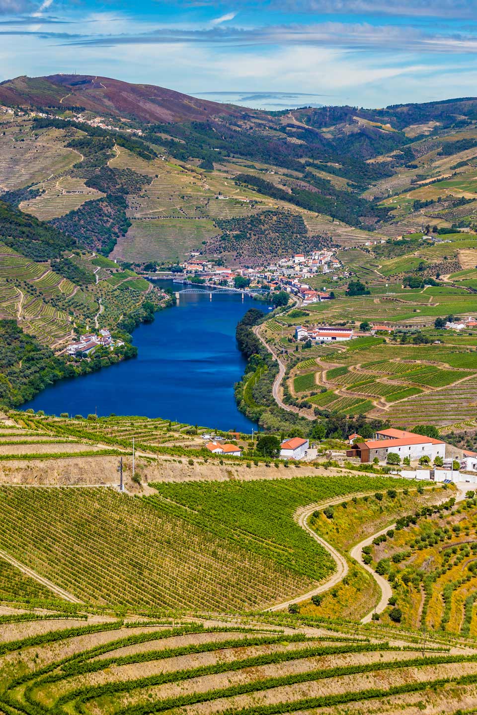 Guide To The Douro Valley From Porto Portugals Famous Wine Region