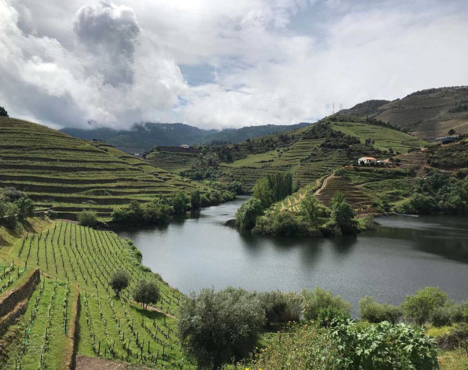 Guide to the Douro Valley from Porto – Portugal’s Most Famous Wine Region