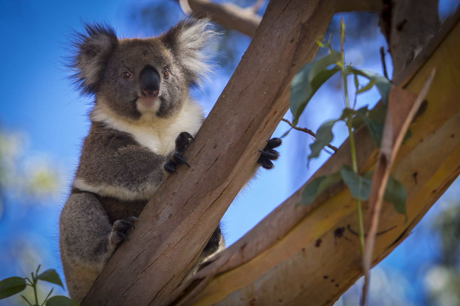 31-of-the-most-iconic-places-to-visit-in-australia-the-planet-d