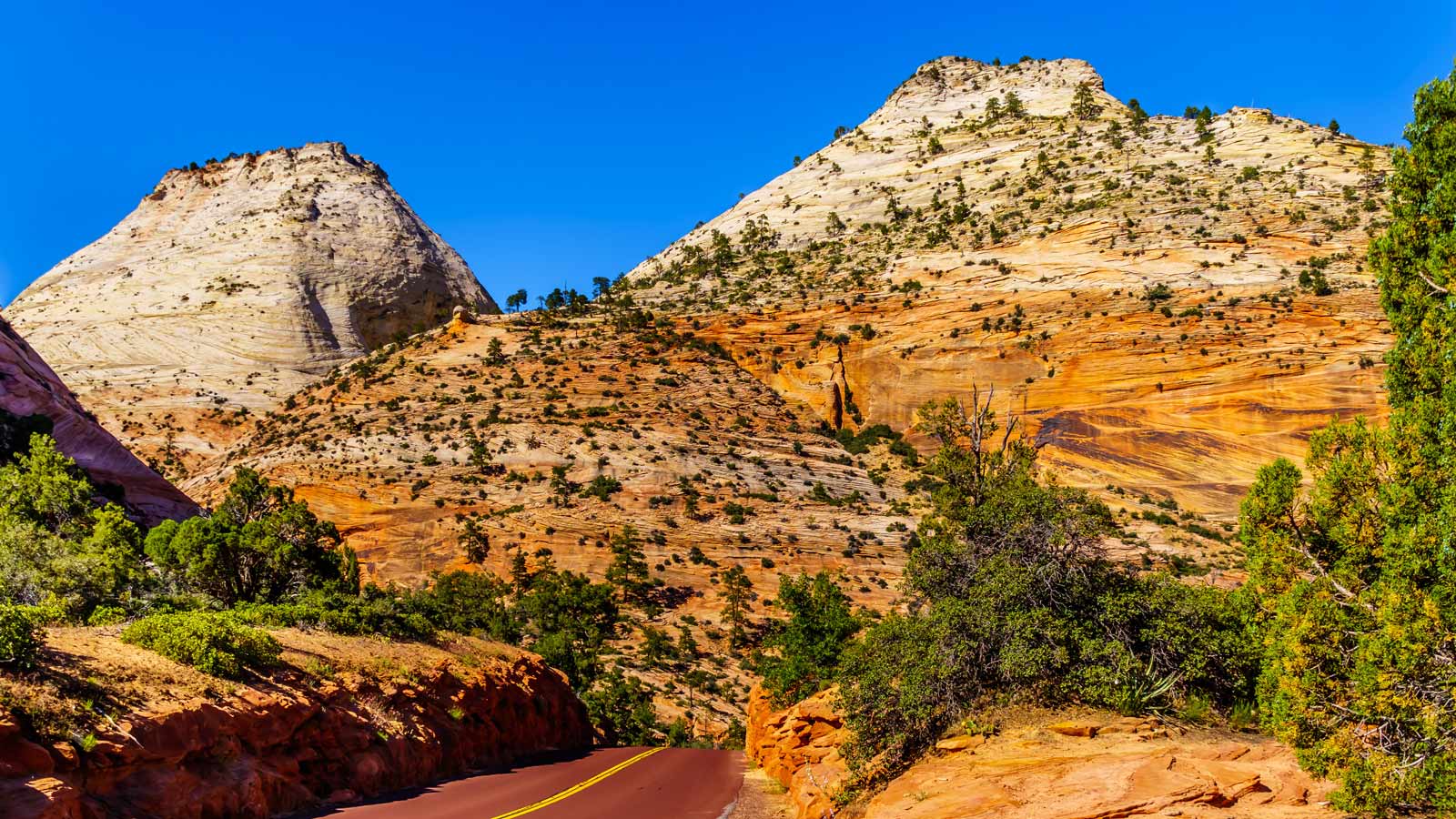 East Rim Trail in Zion National Park