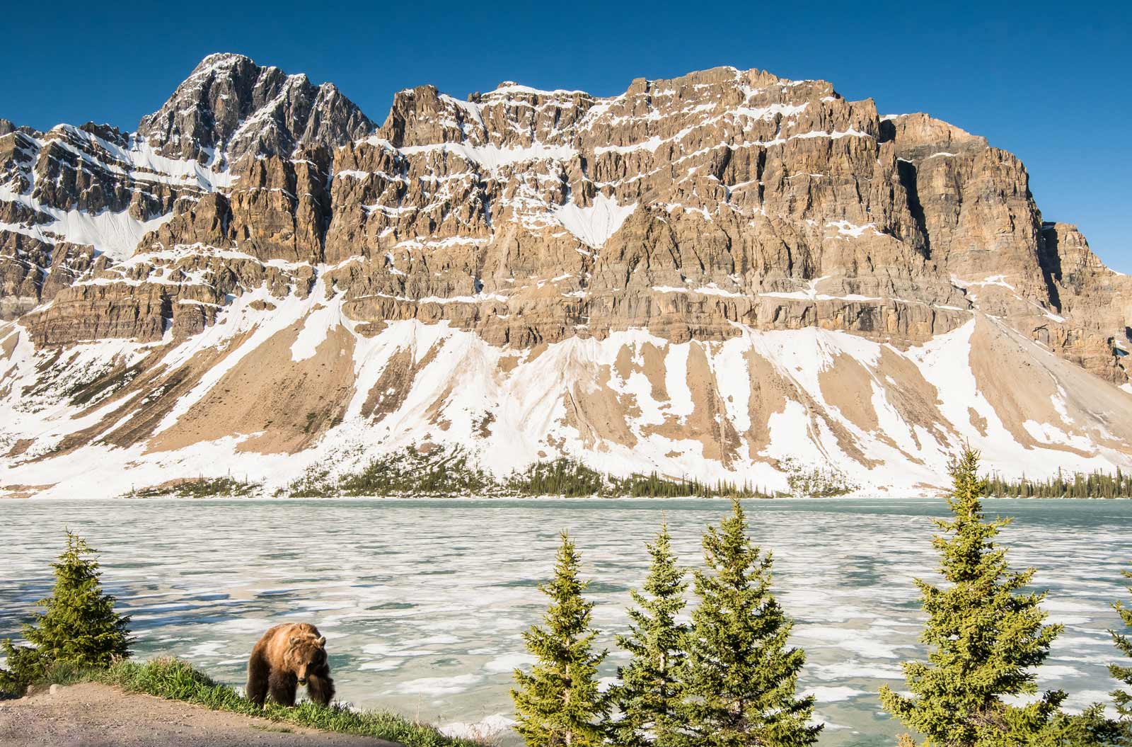 Cory Pass and Edith Pass Trail Banff National Park