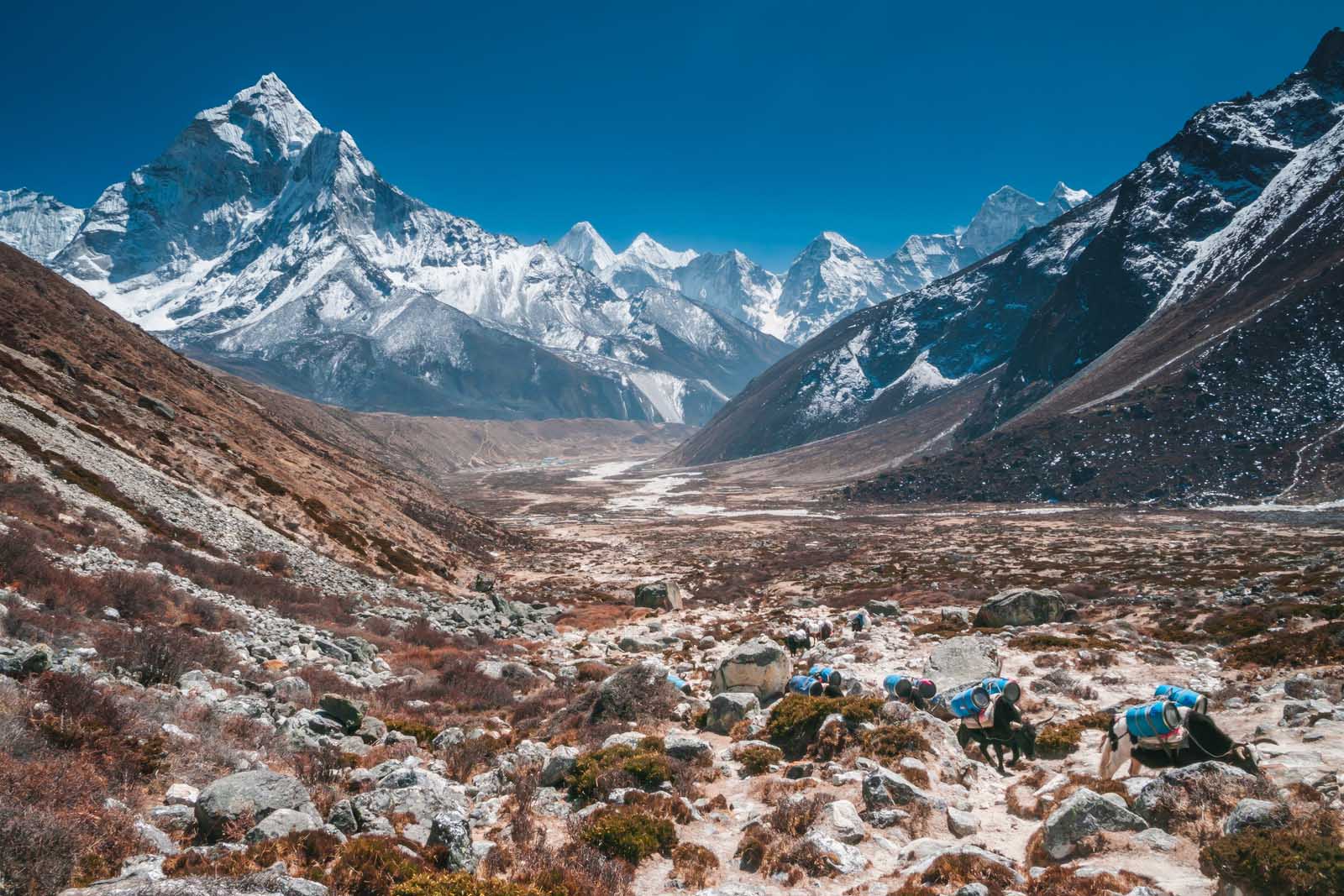 Everest Base Camp trek Cho La Pass