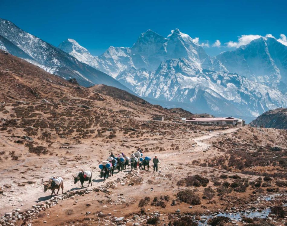 Everest Base Camp Trek – Ultimate Guide For 2024