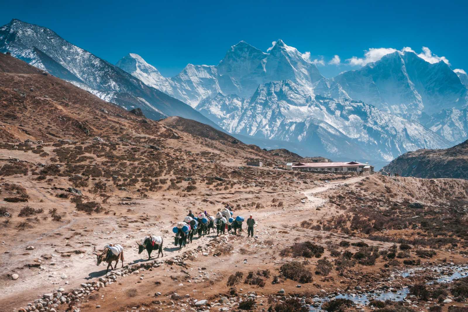 Everest Base Camp Trek – Final Information for 2023