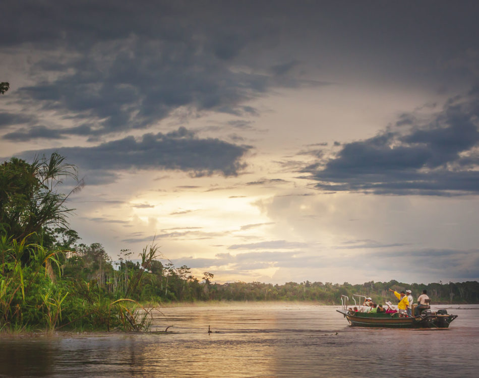 Surprising and Fun Facts About the Amazon River