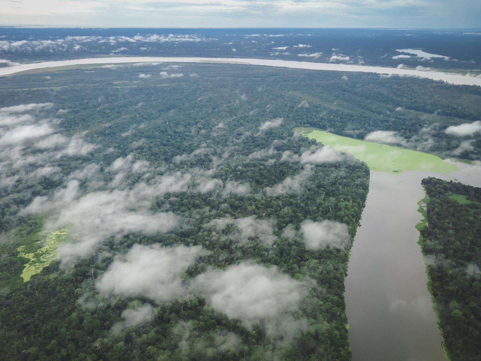 Amazon River Facts