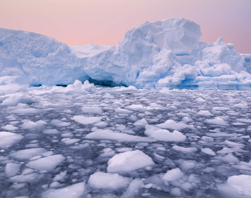 Fascinating Facts About Antarctica