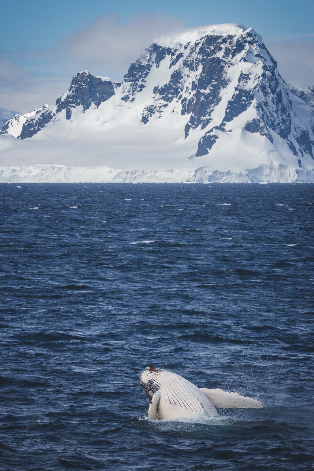 Fact Antarctica Most Fresh Water