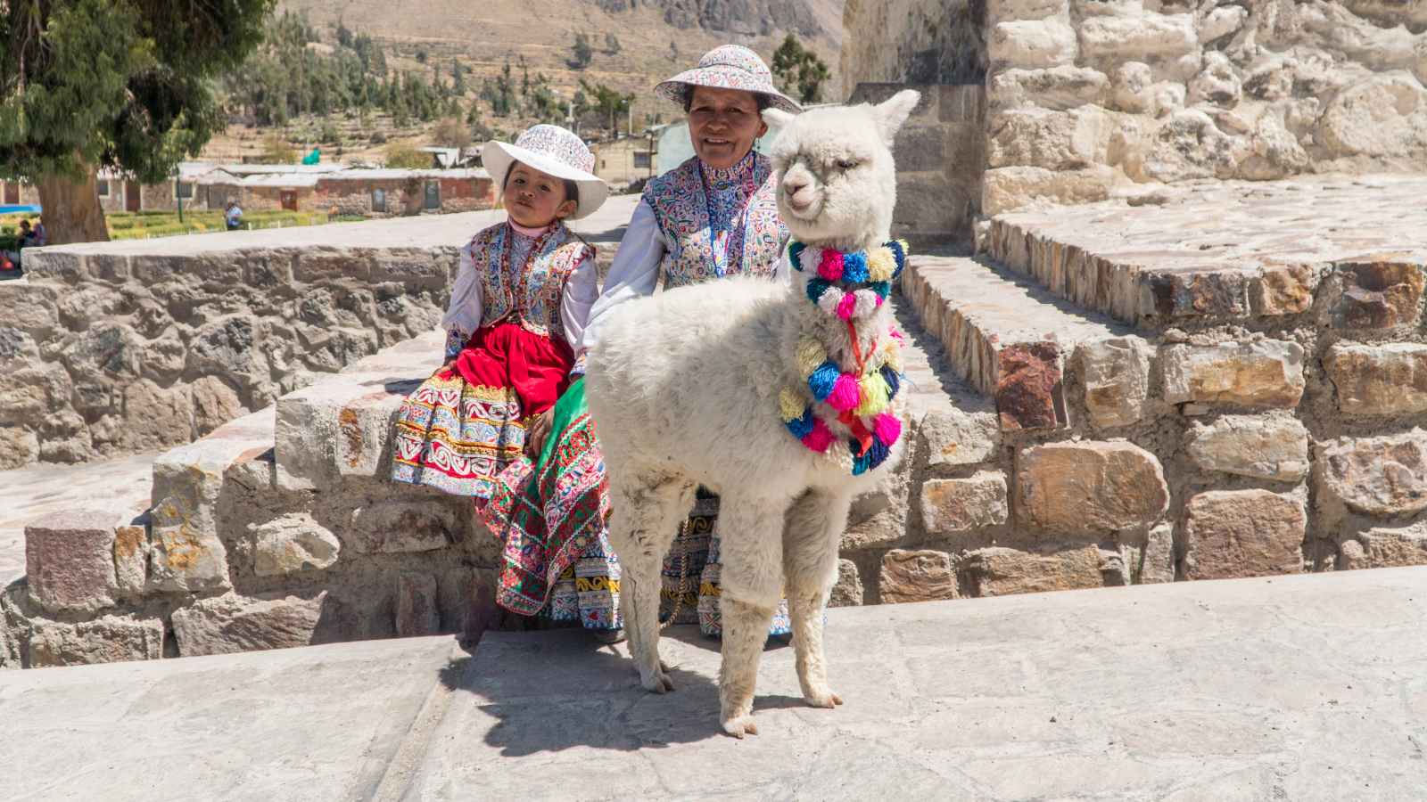 Facts About Bolivia Family Values