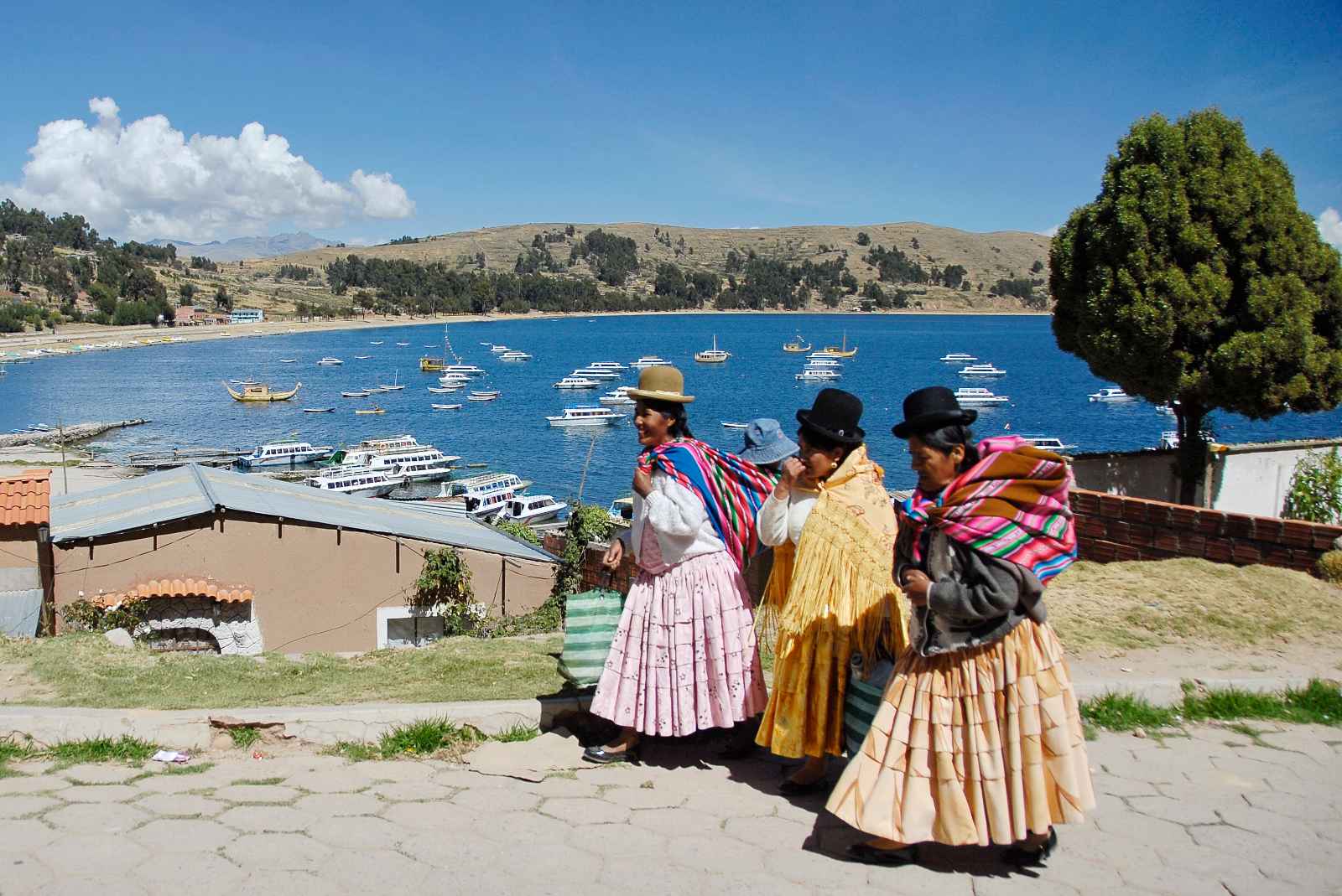 Facts About Bolivia The Pollera Skirt