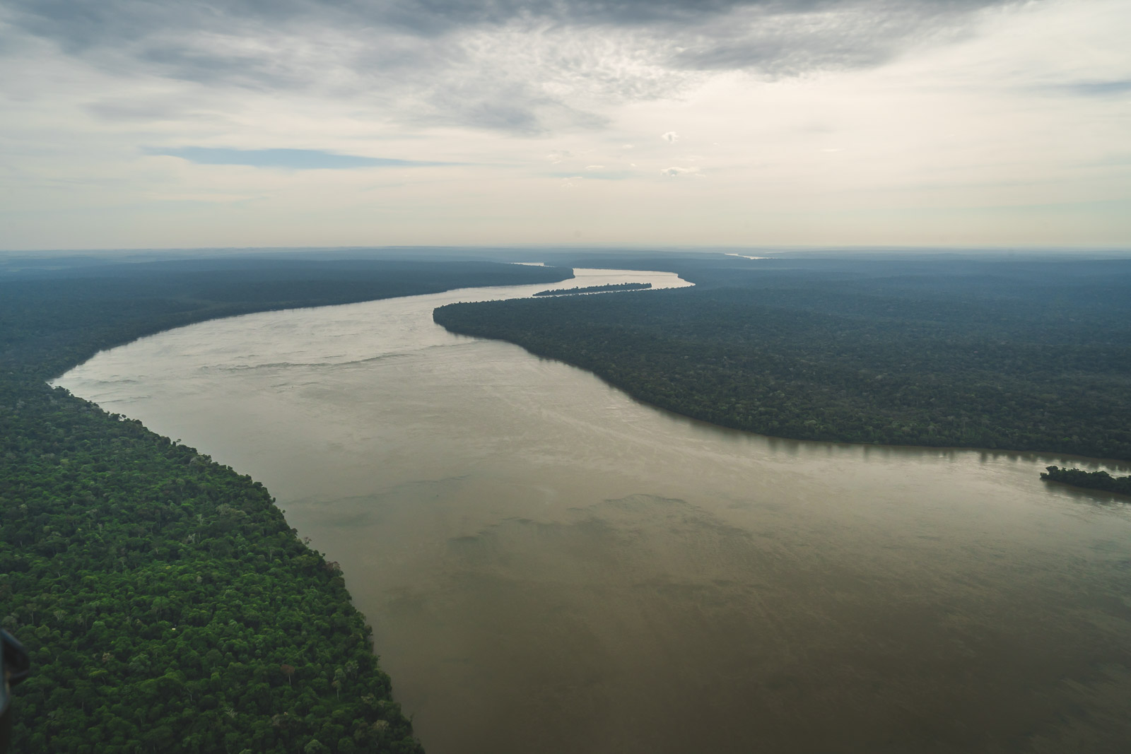 Brazil Facts Rainforest