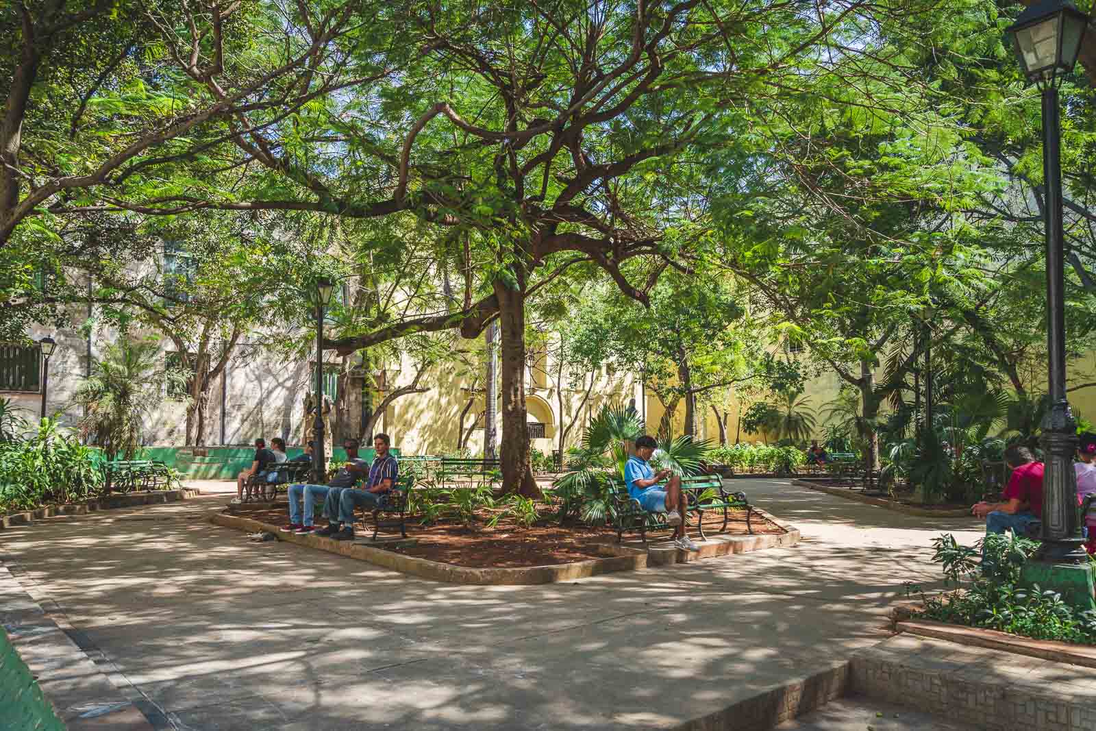 people on phones in park in Cuba wifi is scarce 