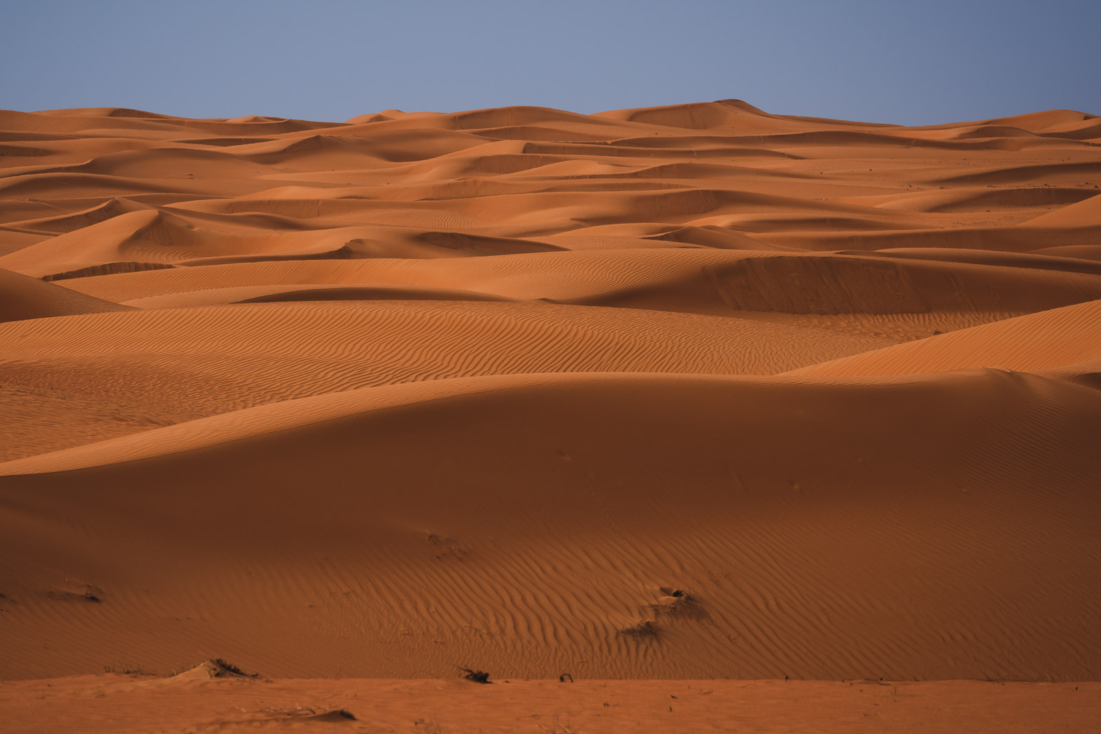 Facts about Dubai Desert