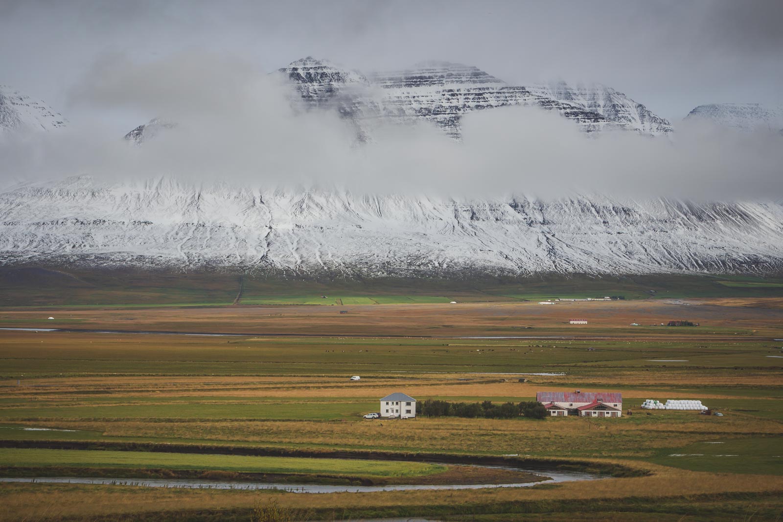 Iceland is scarce on trees