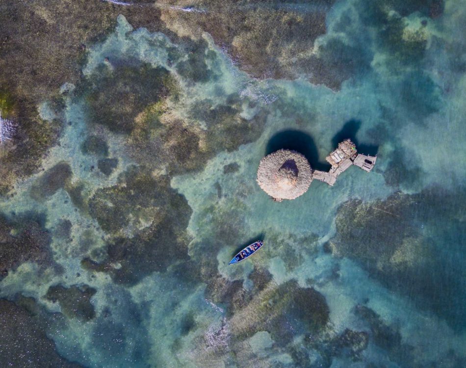 17 Fun Facts About Jamaica