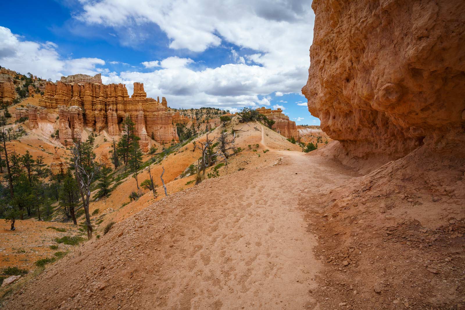 Fairyland Loop trail in Bryce Canyon Utah