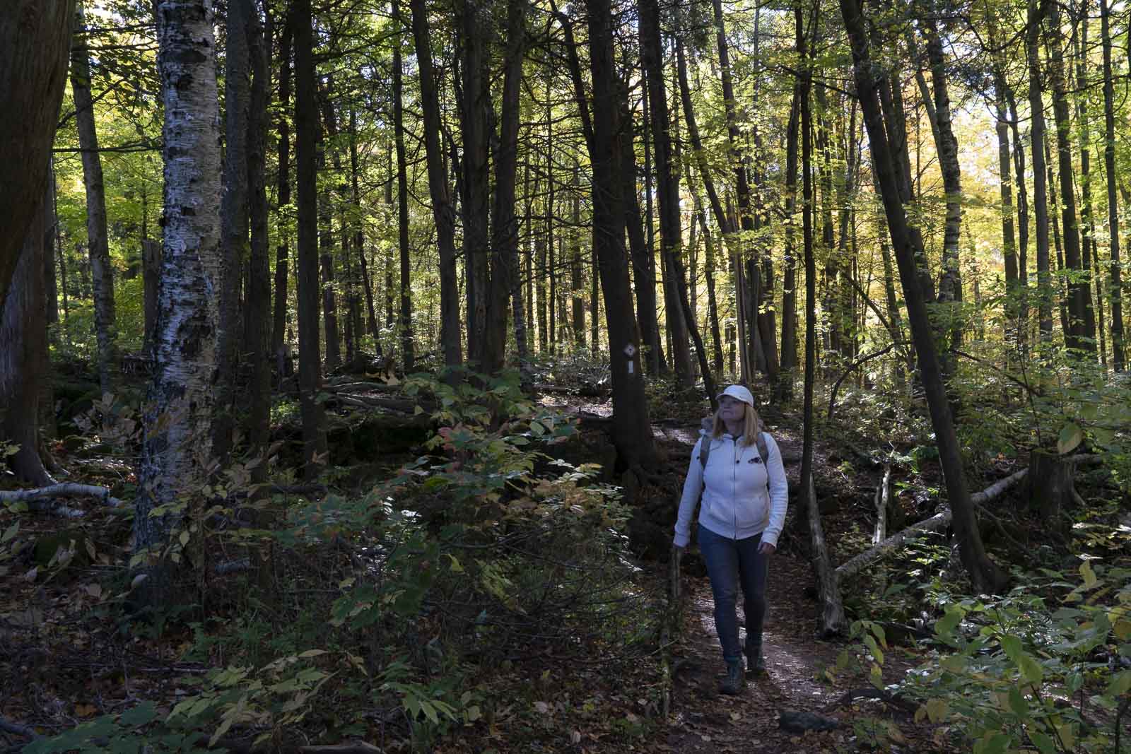 what to do in Tobermory Ontario hiking the bruce trail