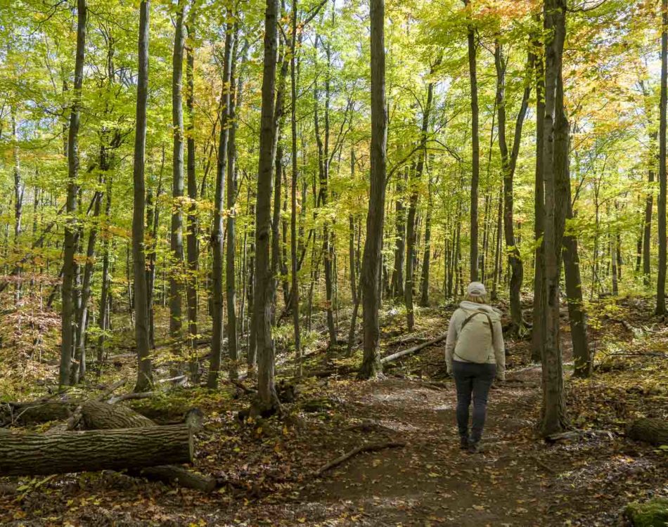 19 of the Best Ontario Hikes