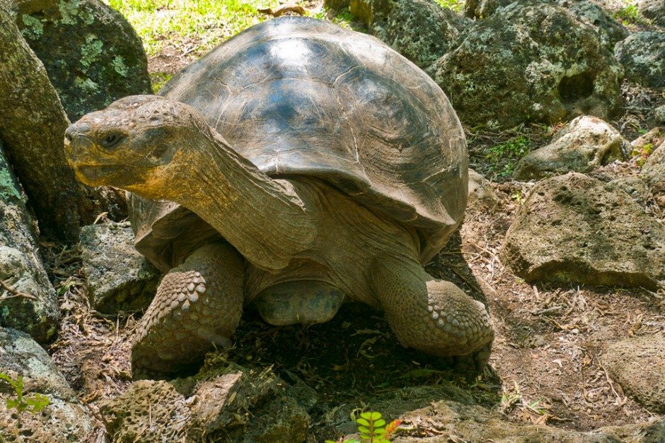 Galapagos Active tour-22