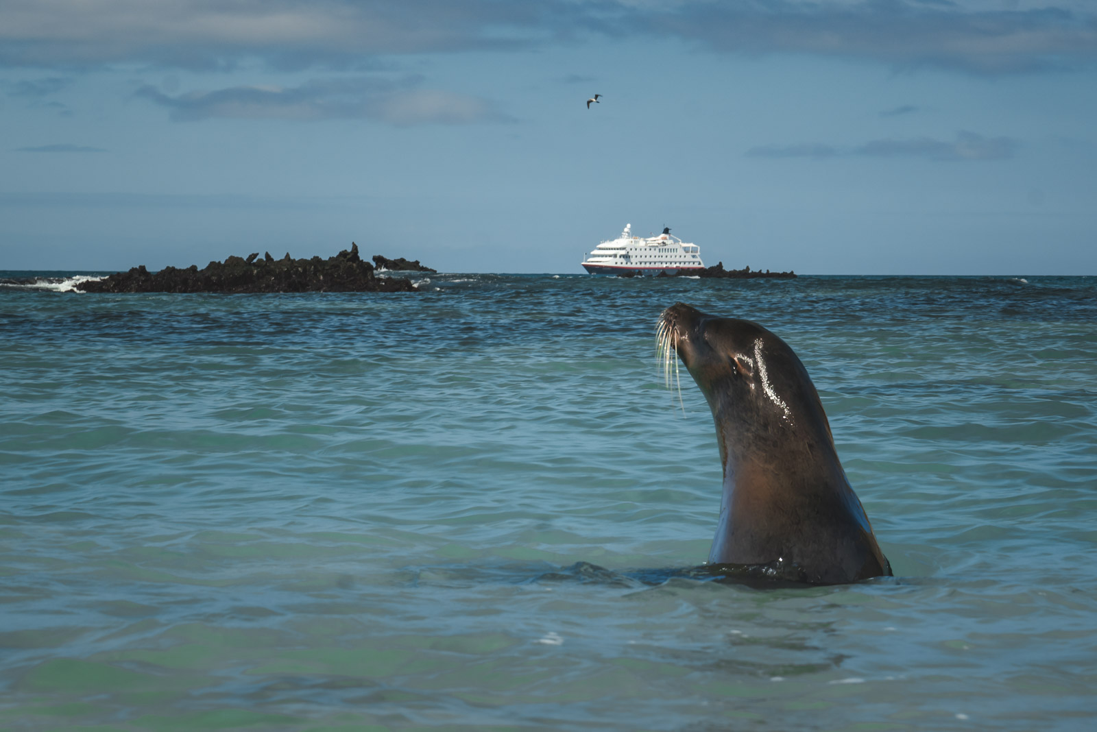 Galapagos Cruises San Cristobal