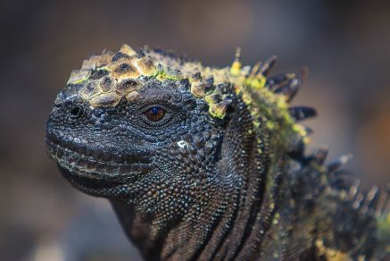 27 photos that will transport you to the Galapagos Islands