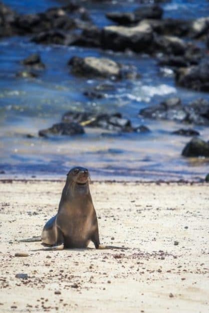 27 photos that will transport you to the Galapagos Islands