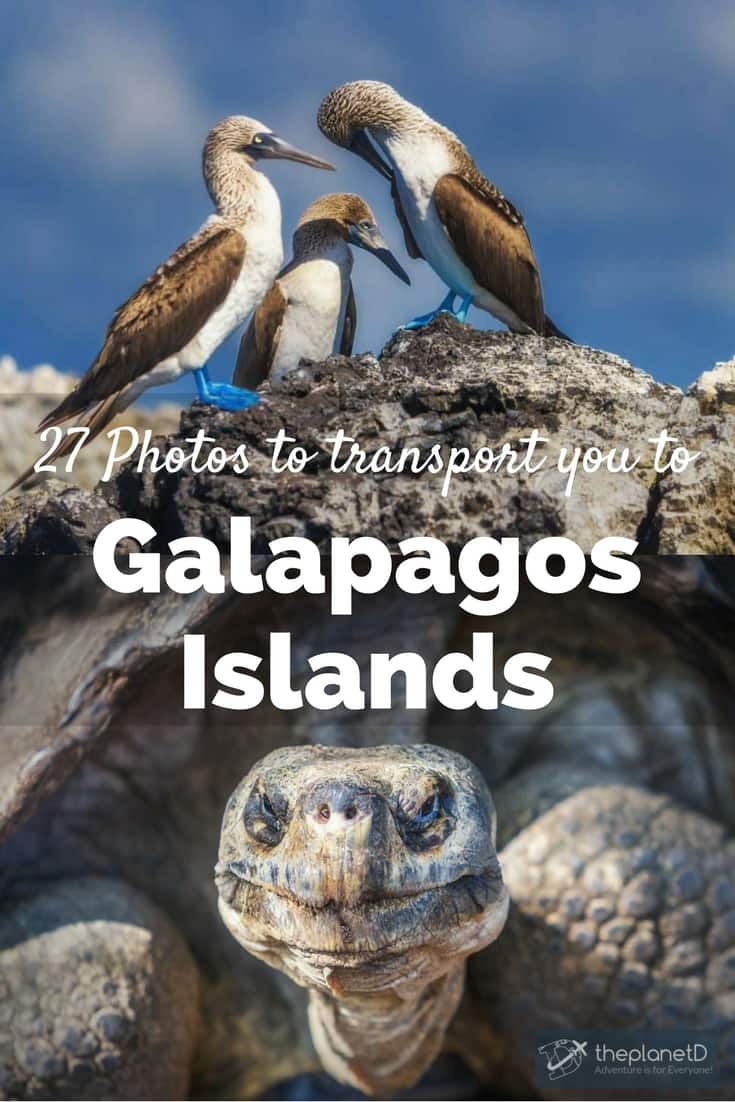 The Galapagos Islands are often referred to as a living museum and once you witness the photos below, you'll understand why.They are unlike any other place on earth.