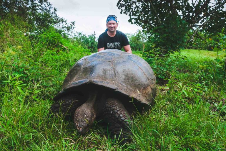 Unique Galapagos Islands Animals in Photos | The Planet D