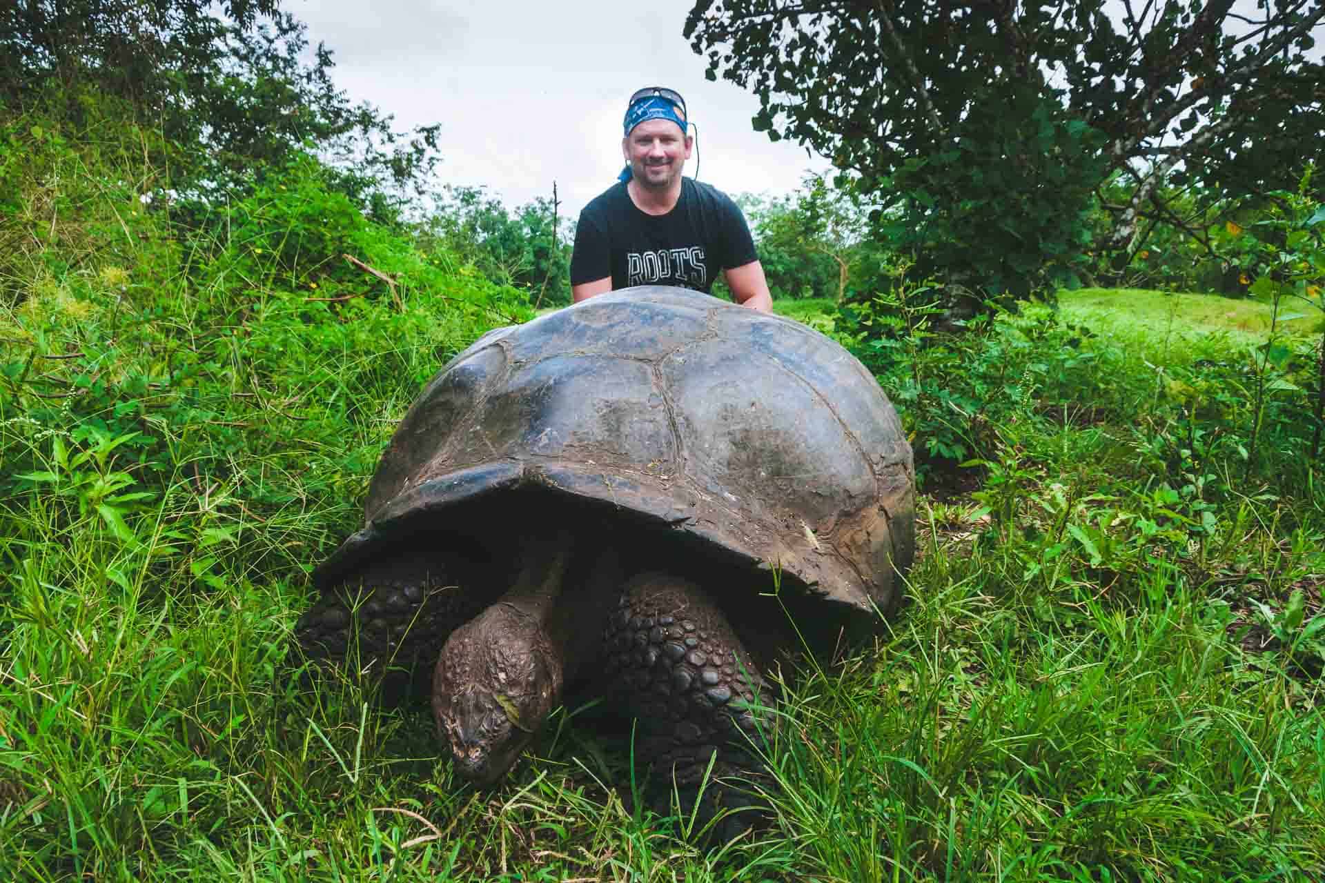 Galapagos island animals Giant Tortoise