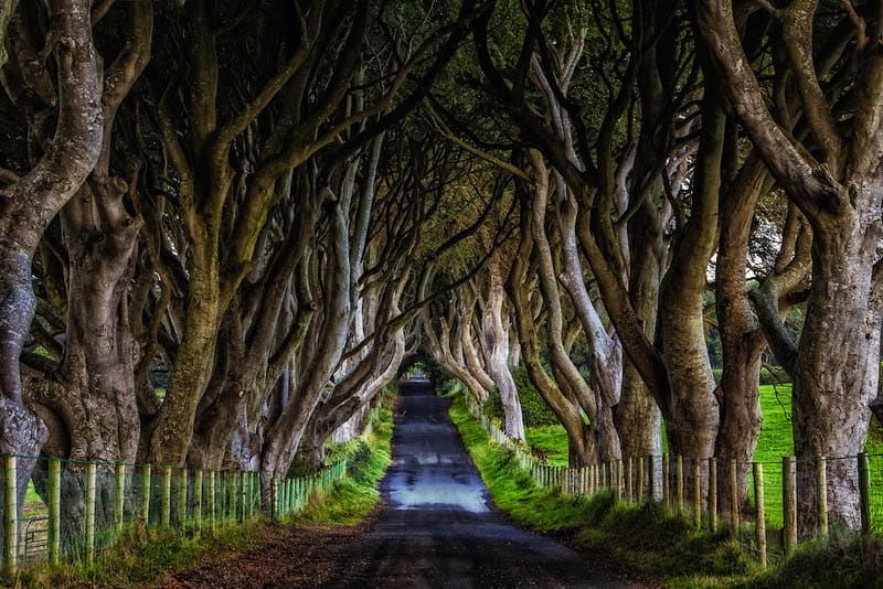 game of thrones filming locations northern ireland